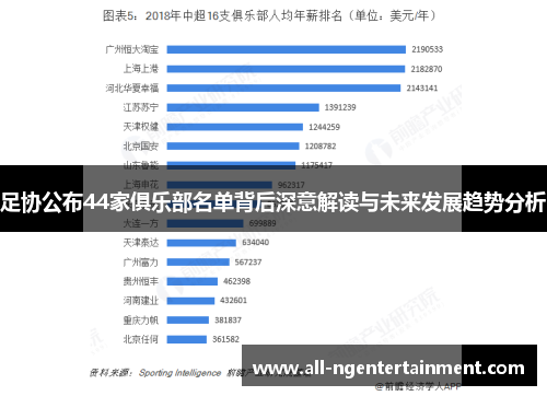 足协公布44家俱乐部名单背后深意解读与未来发展趋势分析
